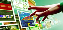 Visit our Portfolio