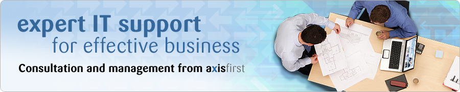 expert IT support for effective business
