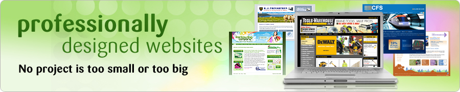professionally designed websites