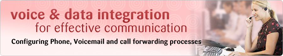 Voice and data Integration for Effective Communication