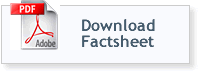 Download Factsheet
