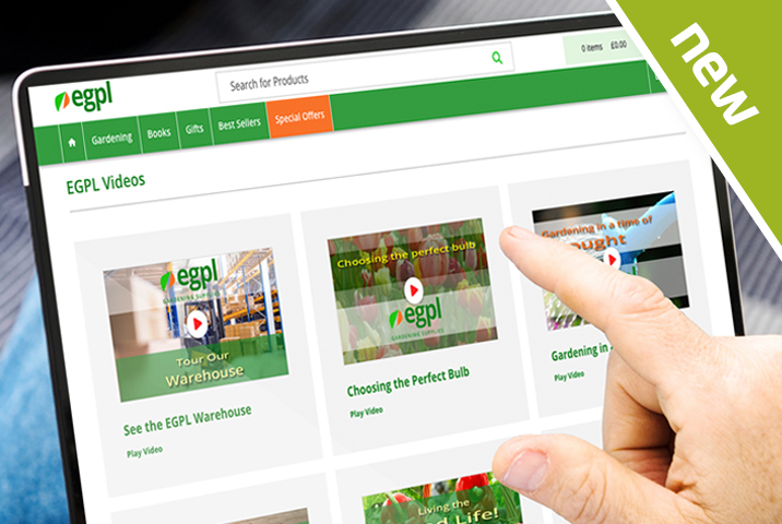Create Video Playlist Pages with axis vMerchant class=