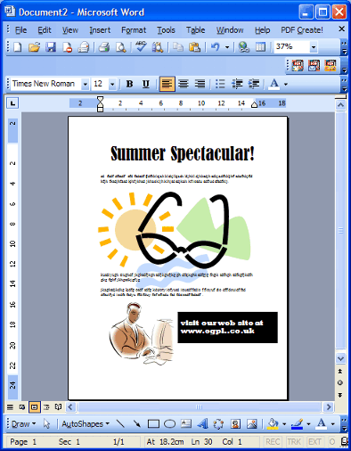 Microsoft Word Screen shot